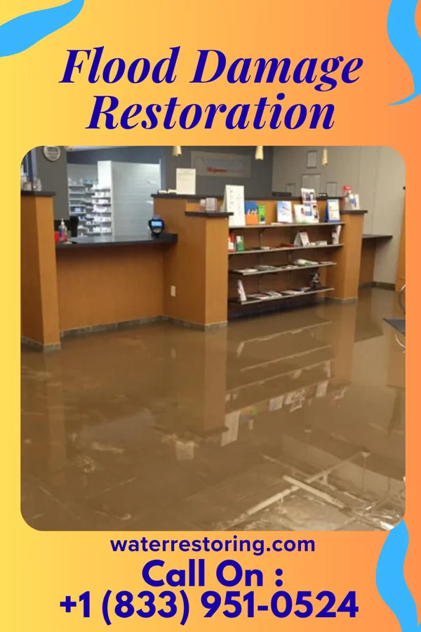 Flood Damage Restoration in Ford City, PA