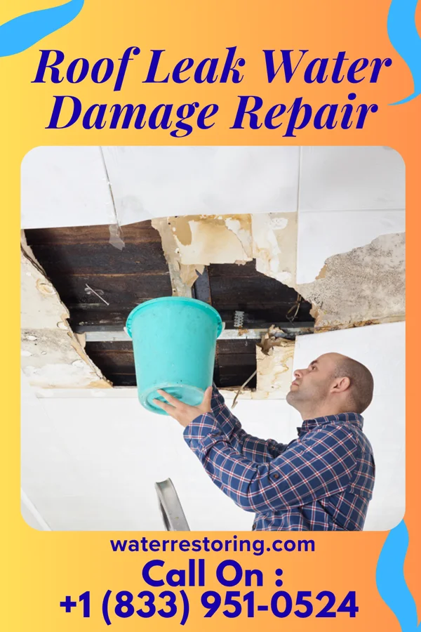 Roof Leak Water Damage Repair in Ford City, PA