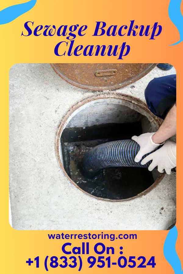 Sewage Backup Cleanup in Ford City, PA