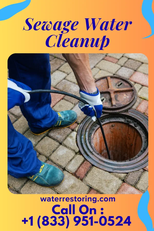 Sewage Water Cleanup in Ford City, PA